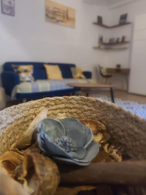 Appartement T2 Avec Clim Et Wifi, A 50 M De La Plage Collioure Luaran gambar