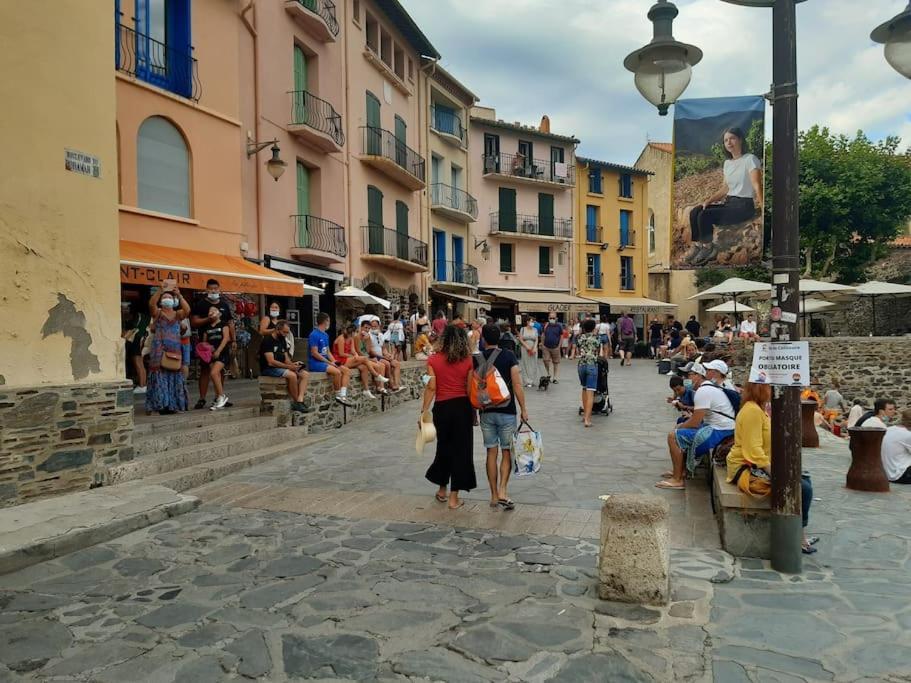 Appartement T2 Avec Clim Et Wifi, A 50 M De La Plage Collioure Luaran gambar